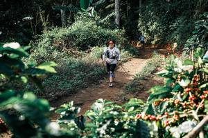 BIB: 
                            <button type="button" onclick="openModal(25856815)" class="btn btn-primary btn-sm float-right btn-popup" data-toggle="modal" data-target=".modal-high-quality">
                        <i class="fas fa-shopping-cart"></i> Add to Cart
                    </button>
                                            <button type="button" onclick="isThisMe(25856815, true)" class="btn btn-success btn-sm float-right btn-popup btn-isme hidden" data-toggle="tooltip" data-placement="bottom" title="นี่คือรูปของคุณใช่ไหม คลิกที่นี่เพื่อเอาเข้าอัลบั้ม">
                        <i class="fas fa-plus"></i> Add to album
                    </button>
                    <button type="button" onclick="isThisMe(25856815, false)" class="btn btn-warning btn-sm float-right btn-popup btn-isnotme hidden">
                        <i class="fas fa-ban"></i> Remove from album
                    </button>